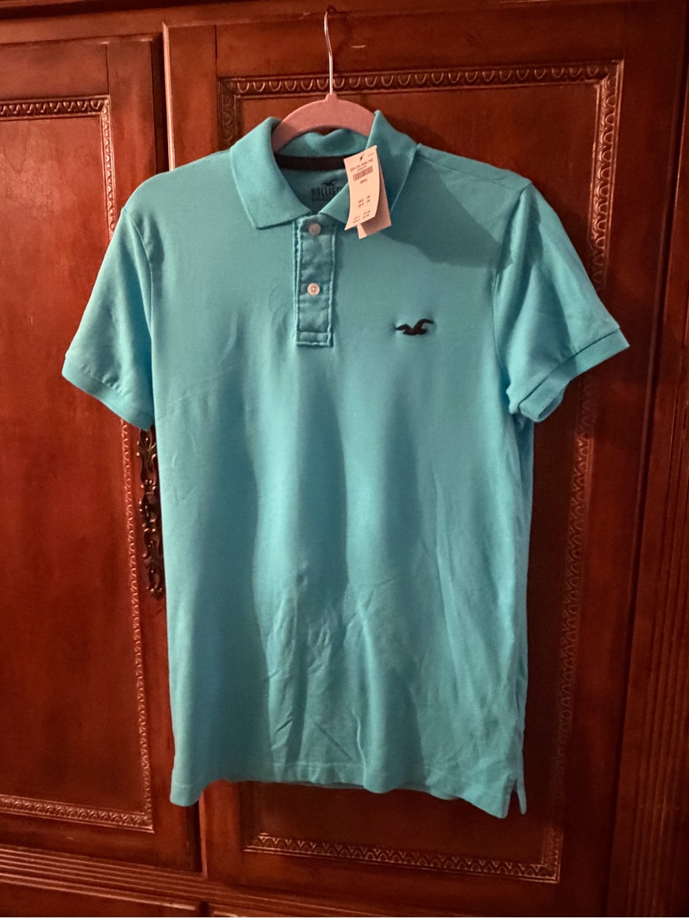 Hollister boys Turquoise Polo Shirt